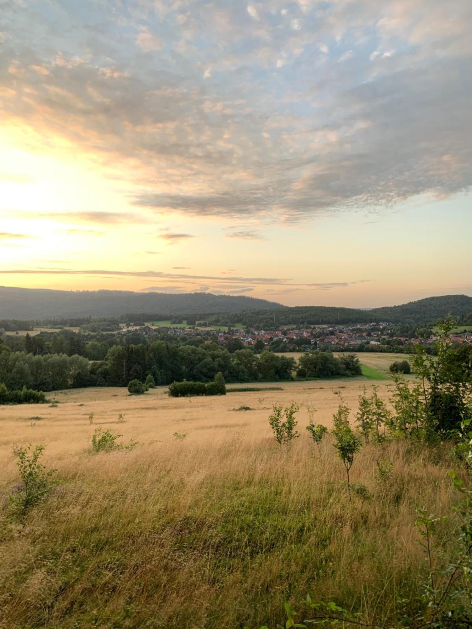 Wolfs-Blick Villa Langelsheim Buitenkant foto